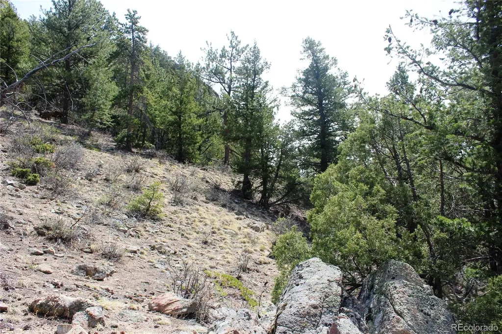 00 County Road 308 Idaho Springs CO 80436