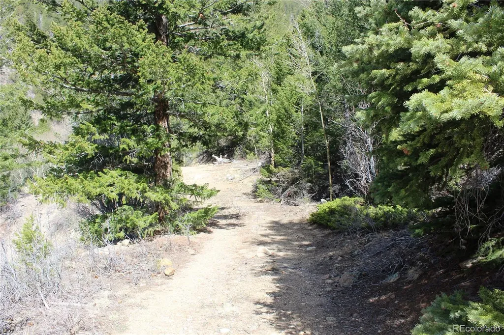 00 County Road 308 Idaho Springs CO 80436