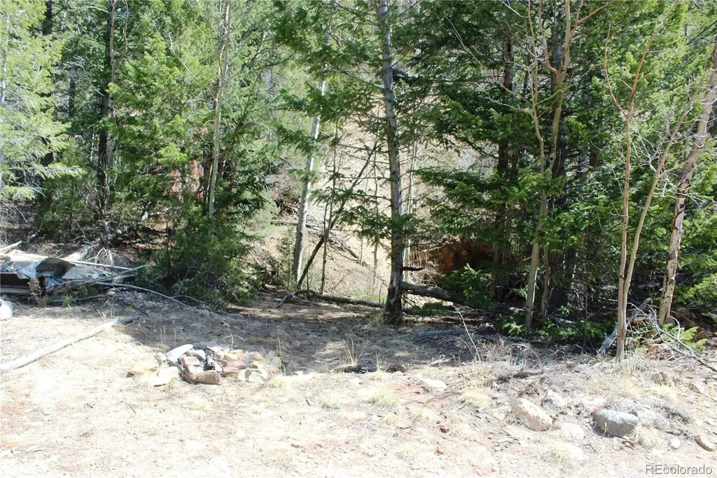 00 County Road 308 Idaho Springs CO 80436