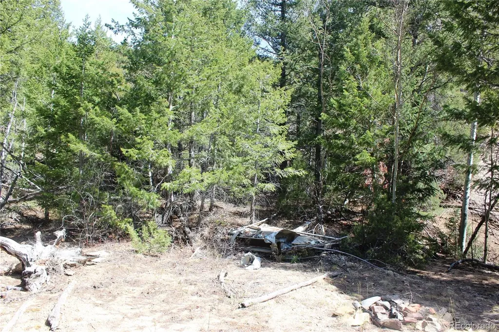 00 County Road 308 Idaho Springs CO 80436