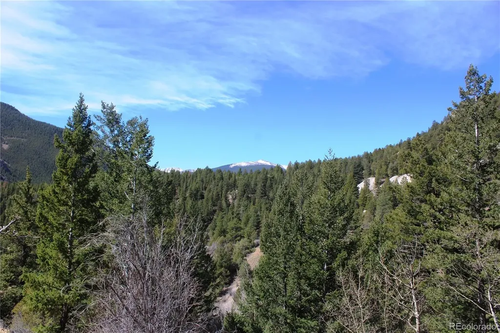 00 County Road 308 Idaho Springs CO 80436