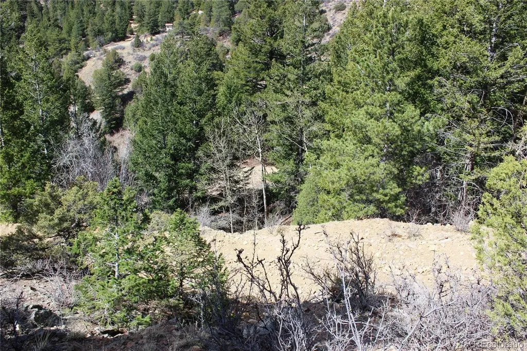 00 County Road 308 Idaho Springs CO 80436
