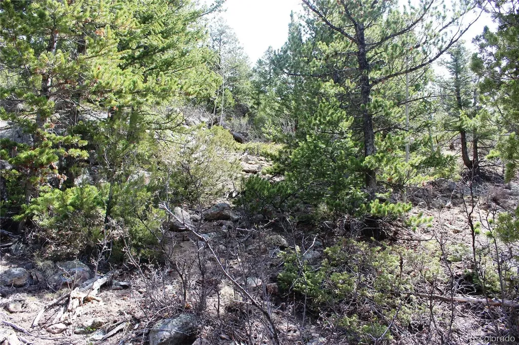 00 County Road 308 Idaho Springs CO 80436