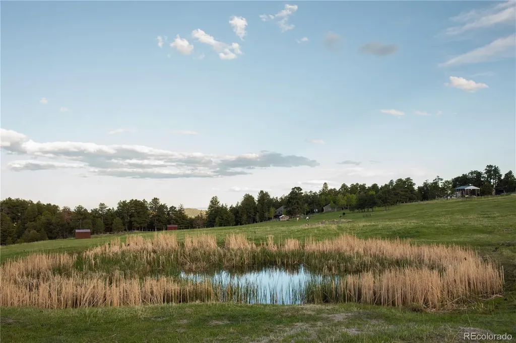 5276 Bear Mountain Drive Evergreen CO 80439