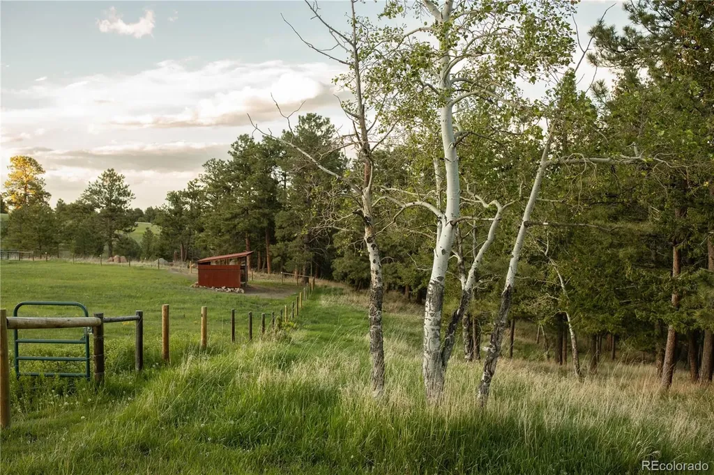 5276 Bear Mountain Drive Evergreen CO 80439
