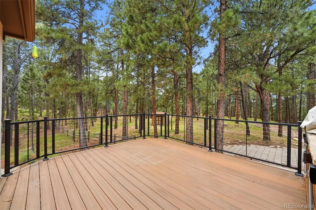 3925 Wavy Oak Drive Colorado Springs CO 80908