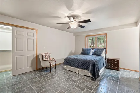 3925 Wavy Oak Drive Colorado Springs CO 80908