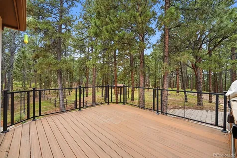 3925 Wavy Oak Drive Colorado Springs CO 80908