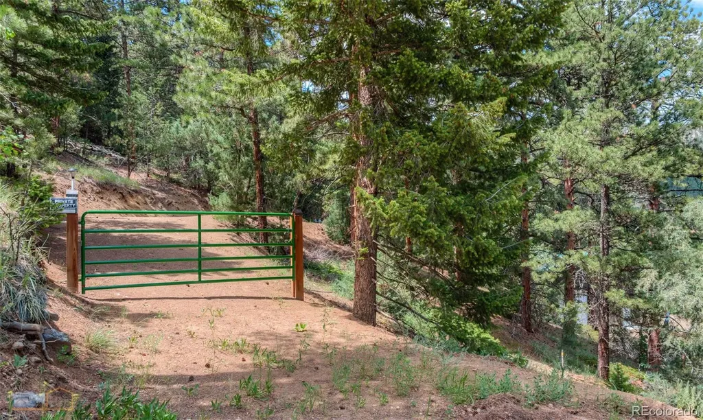 3819 James Canyon Drive Jamestown CO 80455
