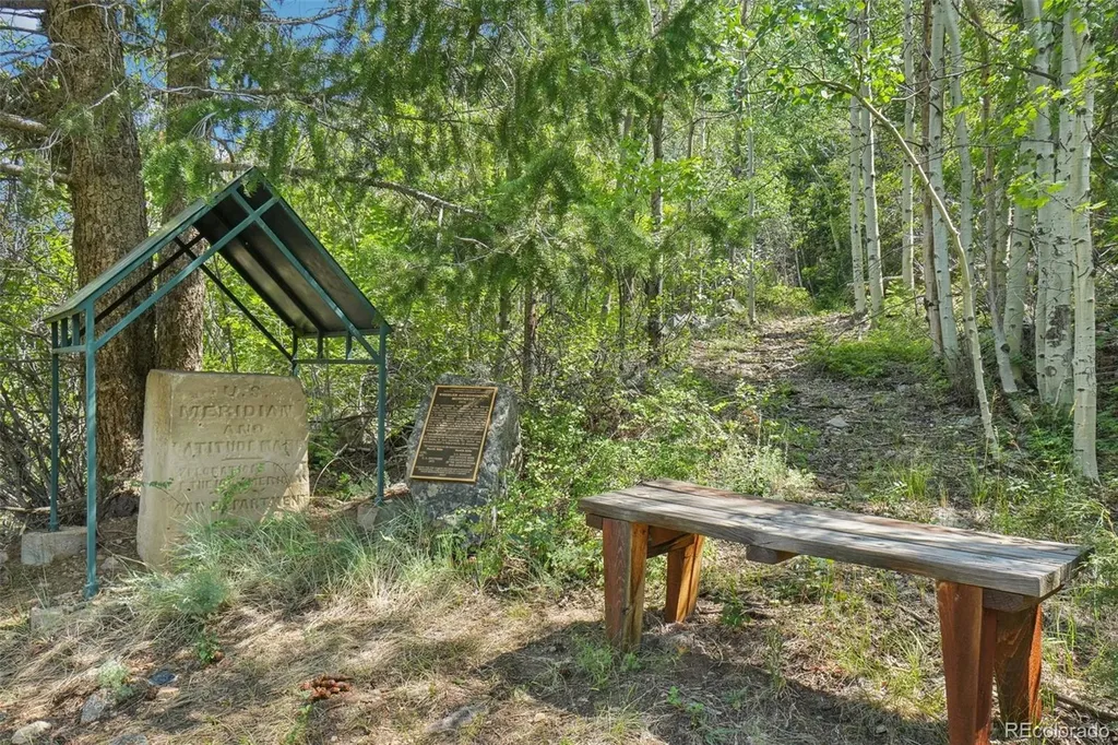 203 9th Street Georgetown CO 80444