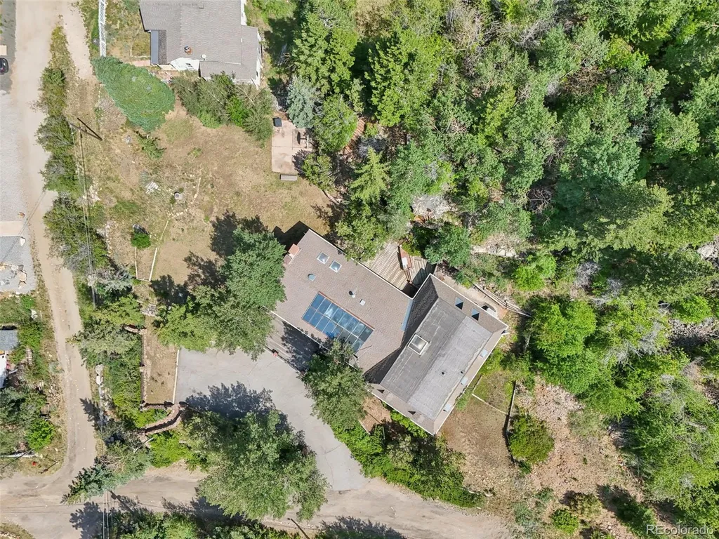 203 9th Street Georgetown CO 80444