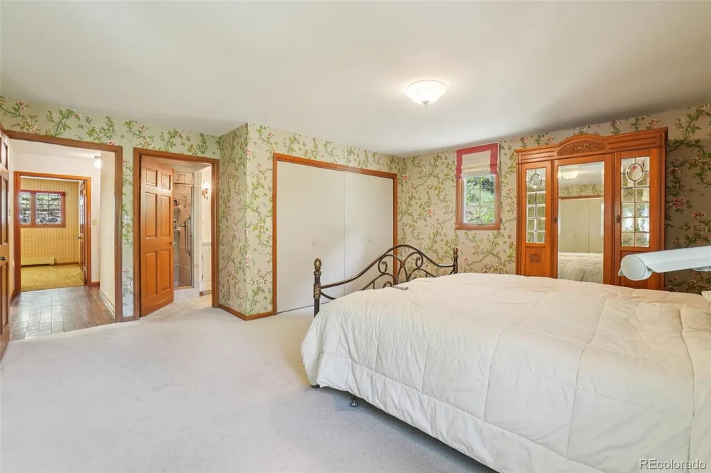 203 9th Street Georgetown CO 80444