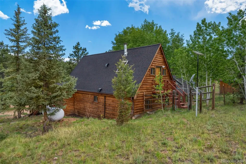215 S Valley Drive Lake George CO 80827