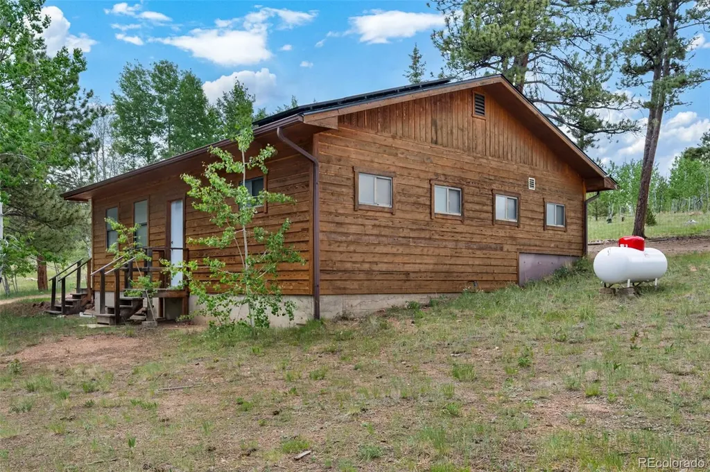 215 S Valley Drive Lake George CO 80827