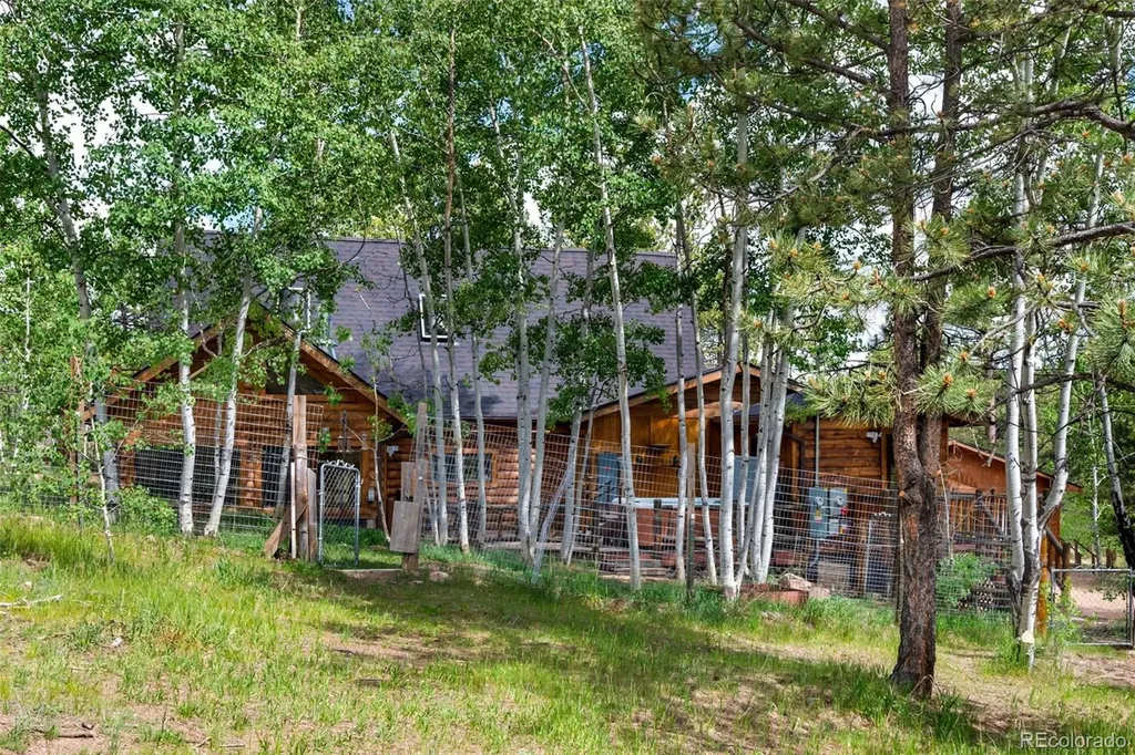 215 S Valley Drive Lake George CO 80827