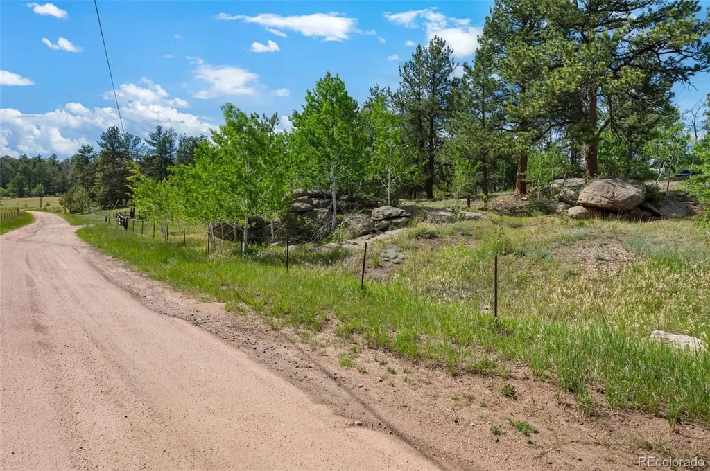 215 S Valley Drive Lake George CO 80827