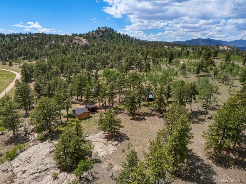 215 S Valley Drive Lake George CO 80827