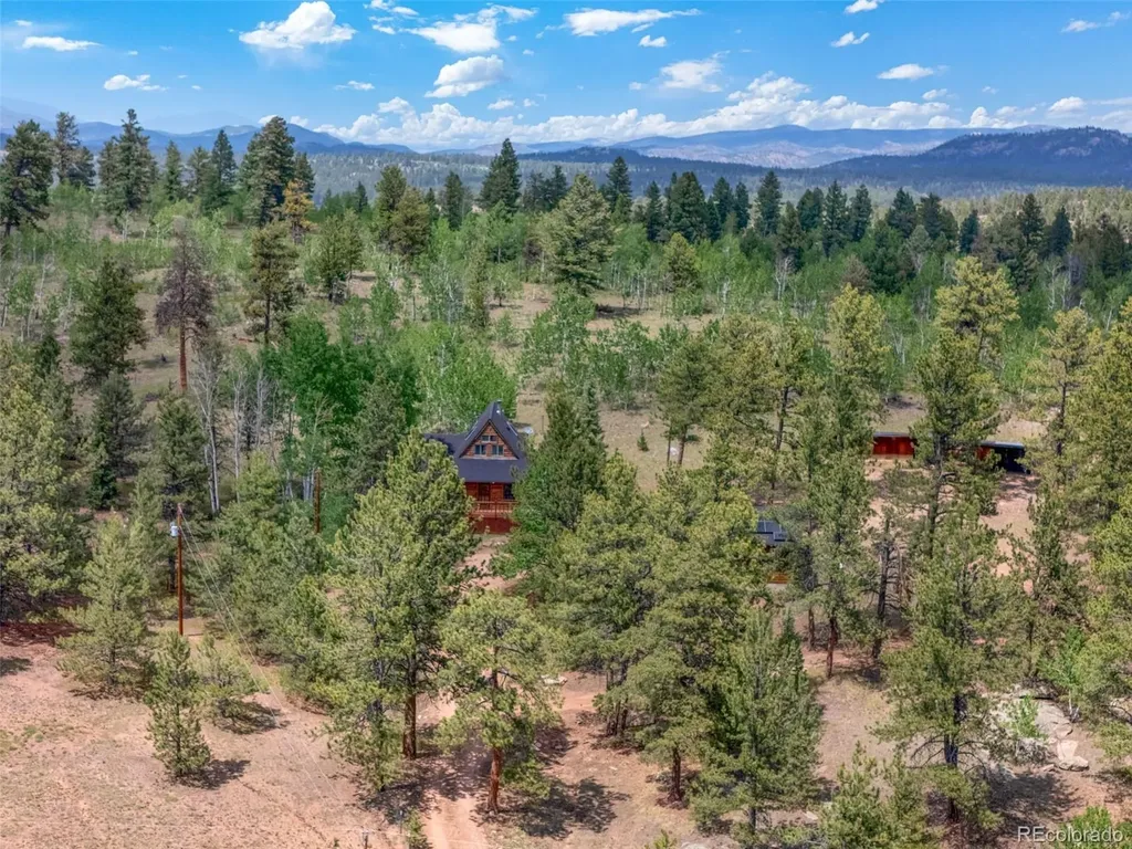 215 S Valley Drive Lake George CO 80827