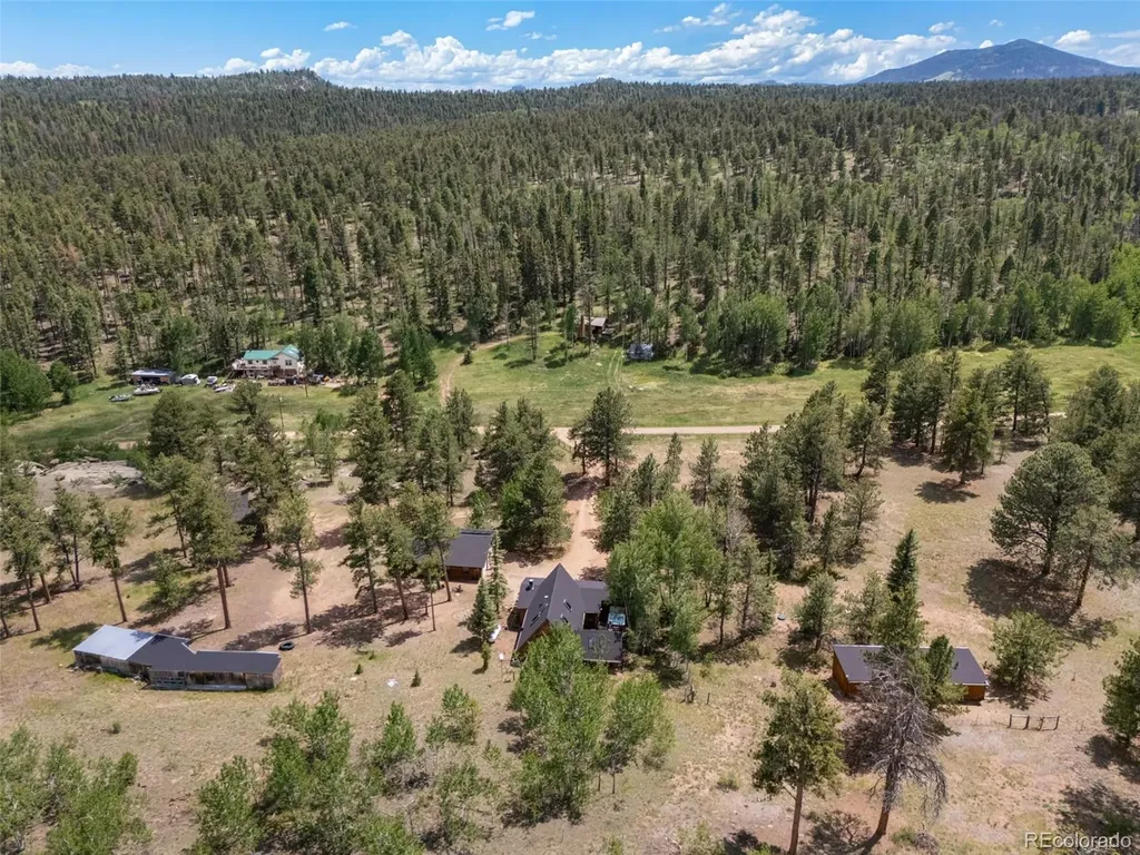 215 S Valley Drive Lake George CO 80827