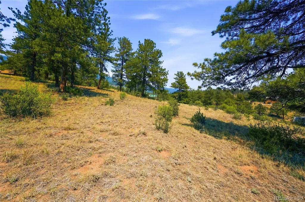 61 Cline Drive Shawnee CO 80475