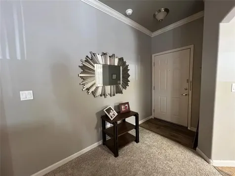 6925 Ash Creek Heights Colorado Springs CO 80922