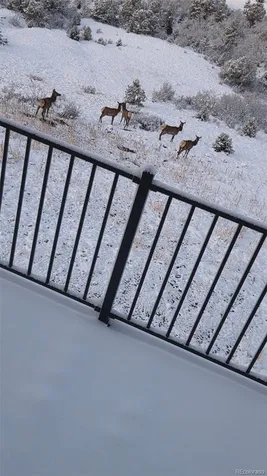 941 Cap Rock Lane Canon City CO 81212