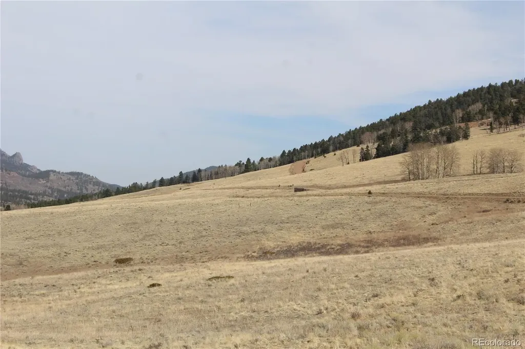 1115 Eagle Gate Road Westcliffe CO 81252