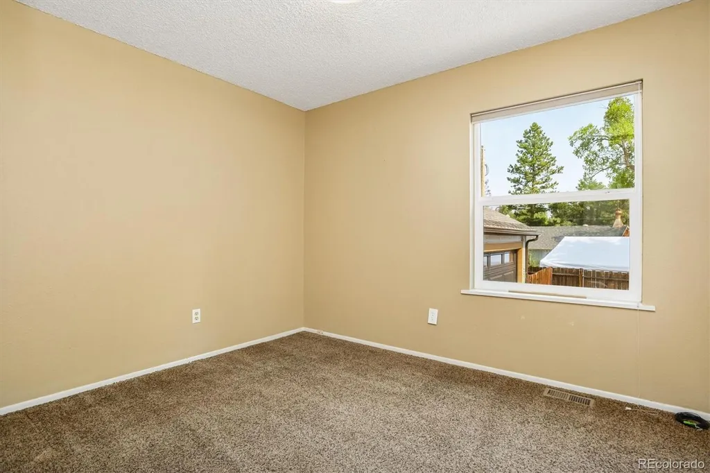 250 James Street Buena Vista CO 81211