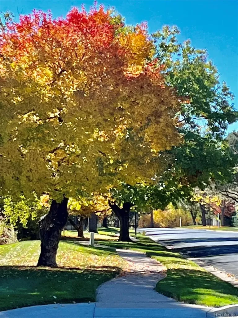 15604 E Chenango Avenue Aurora CO 80015