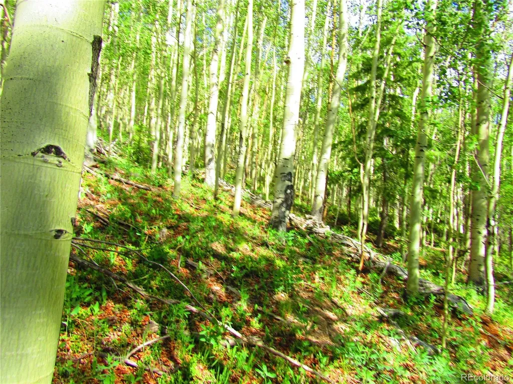Lot 6427 Laffin Road San Luis CO 81132