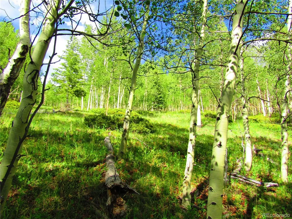Lot 6427 Laffin Road San Luis CO 81152