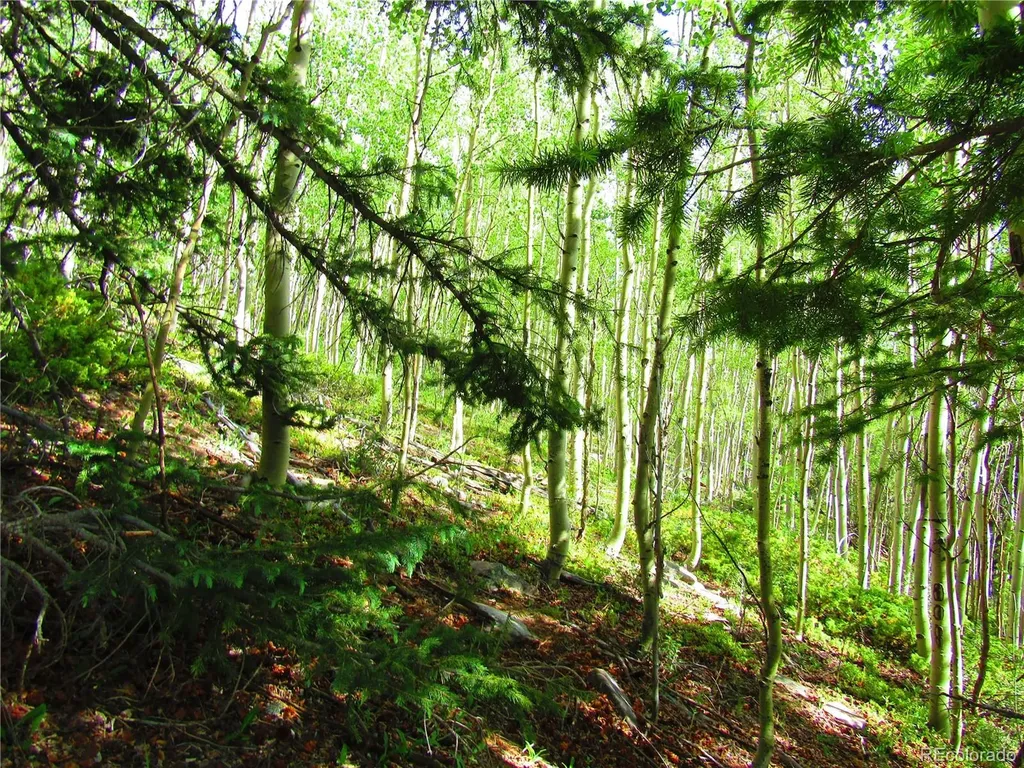 Lot 6427 Laffin Road San Luis CO 81132
