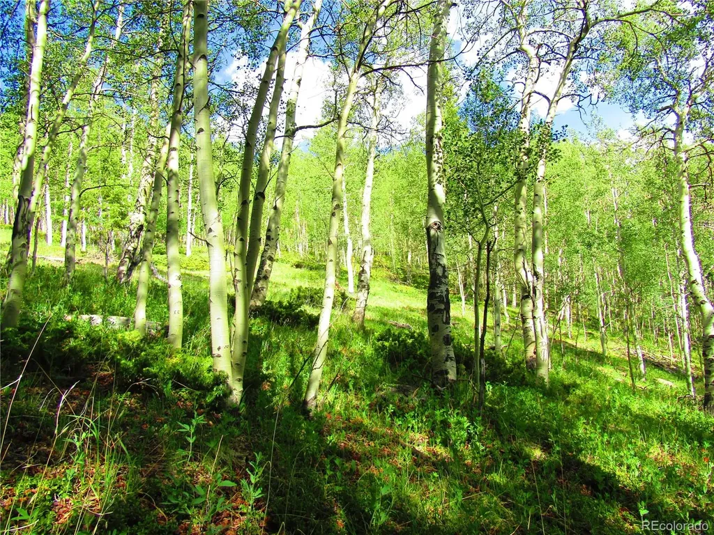 Lot 6427 Laffin Road San Luis CO 81152