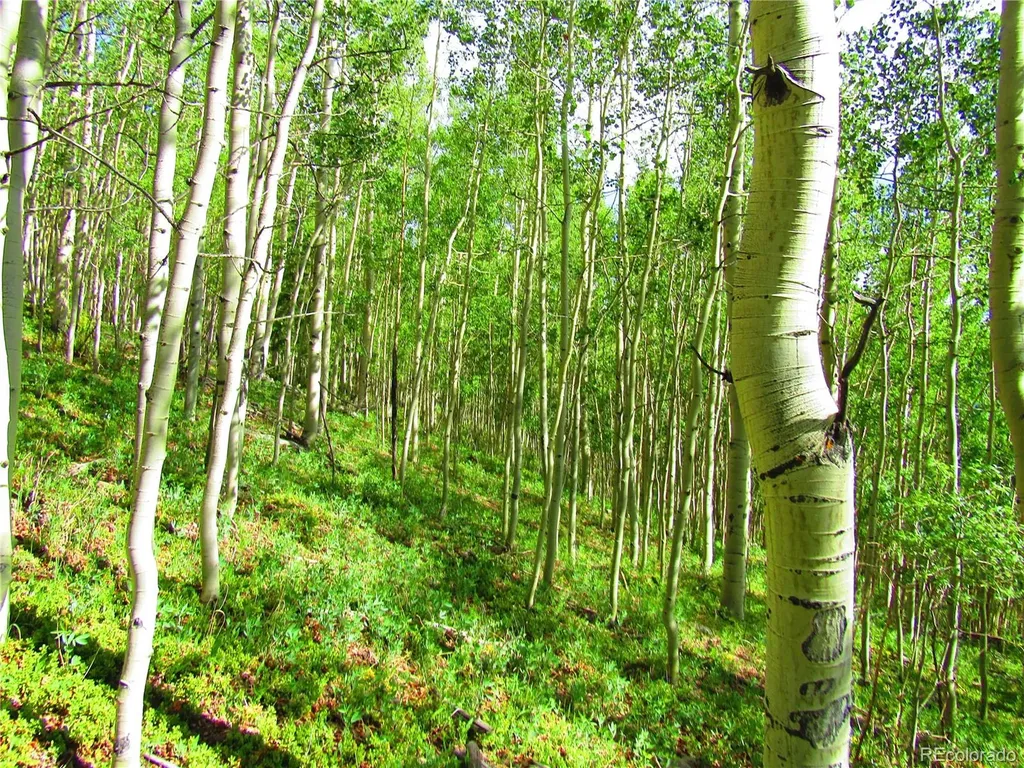 Lot 6427 Laffin Road San Luis CO 81152