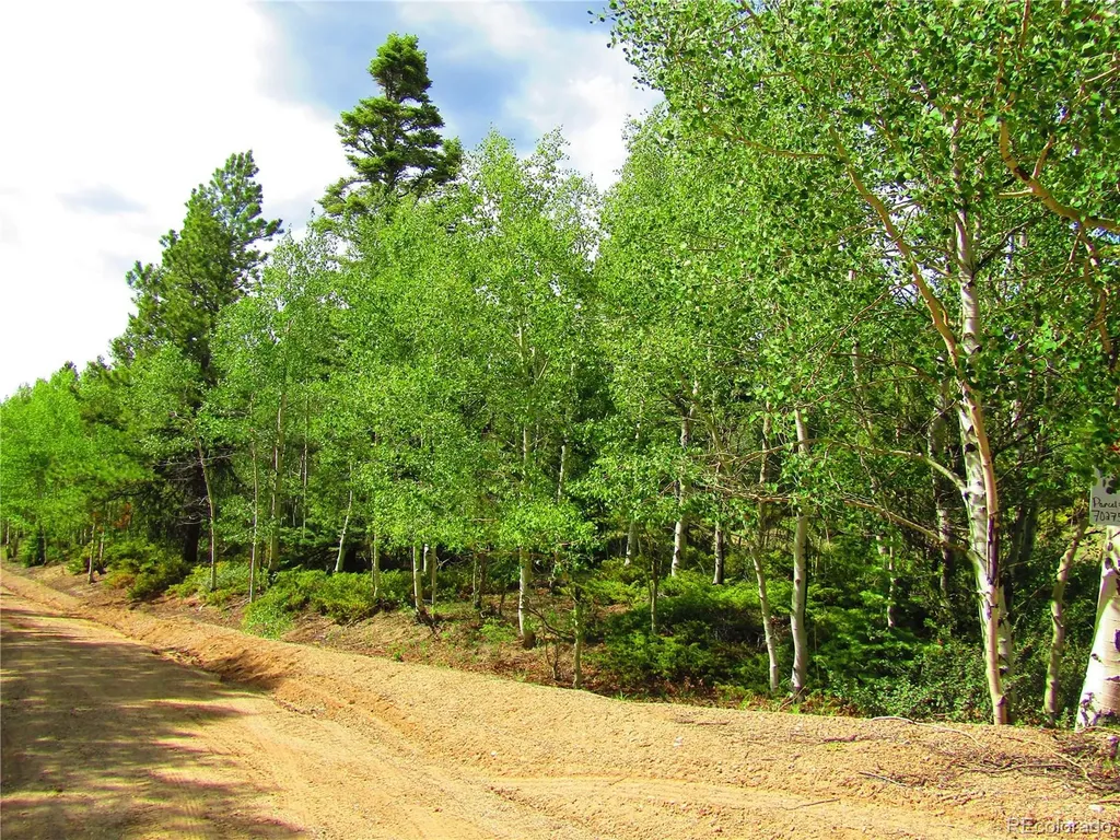 Lot 6427 Laffin Road San Luis CO 81132