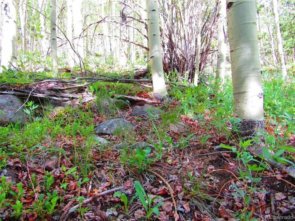 Lot 6427 Laffin Road San Luis CO 81152