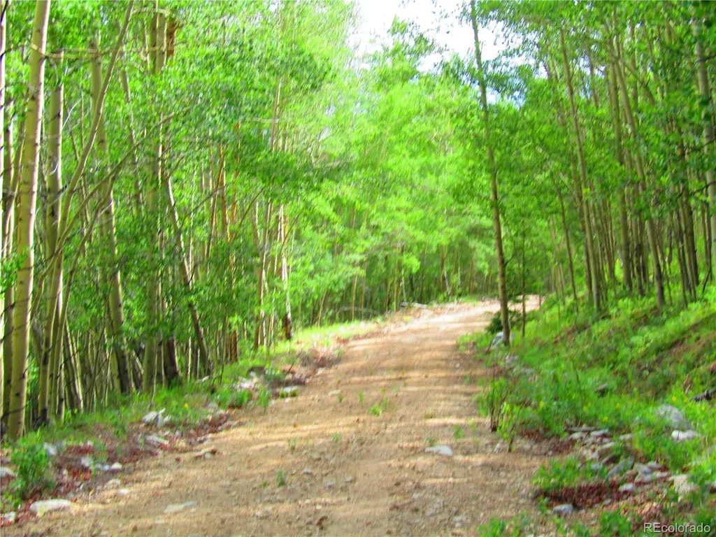 Lot 6427 Laffin Road San Luis CO 81132