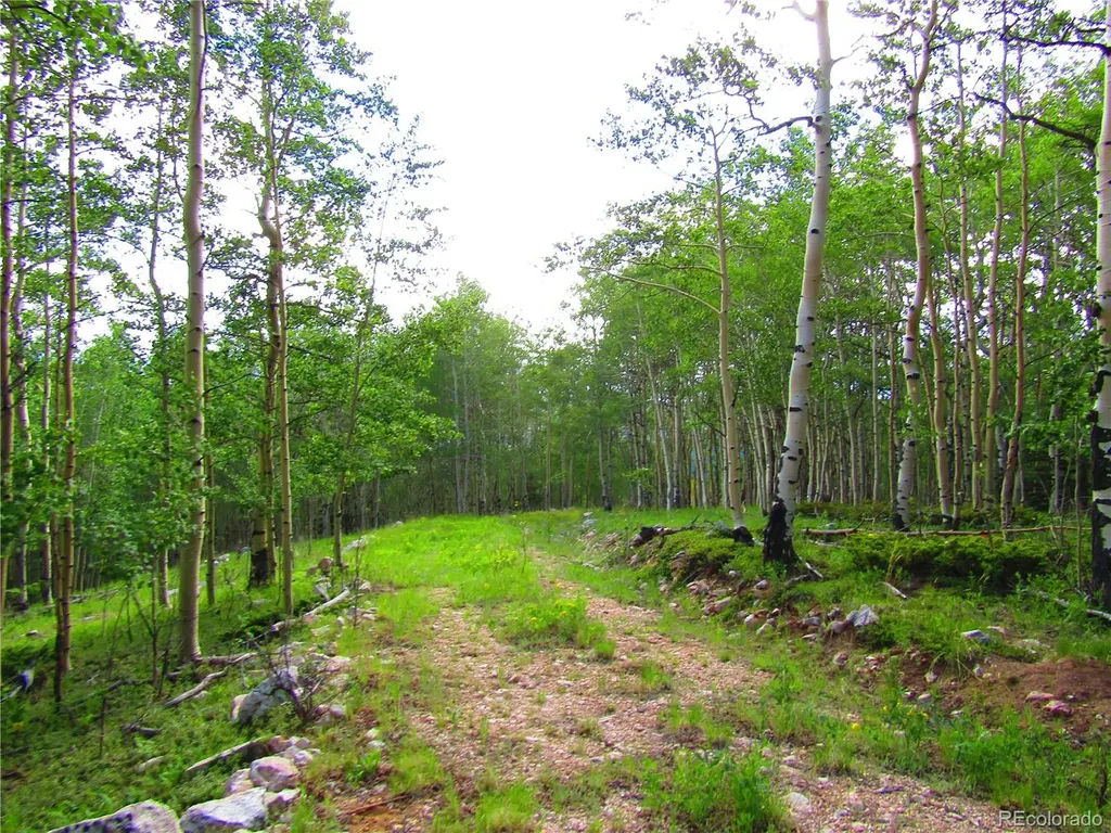 Lot 6427 Laffin Road San Luis CO 81152