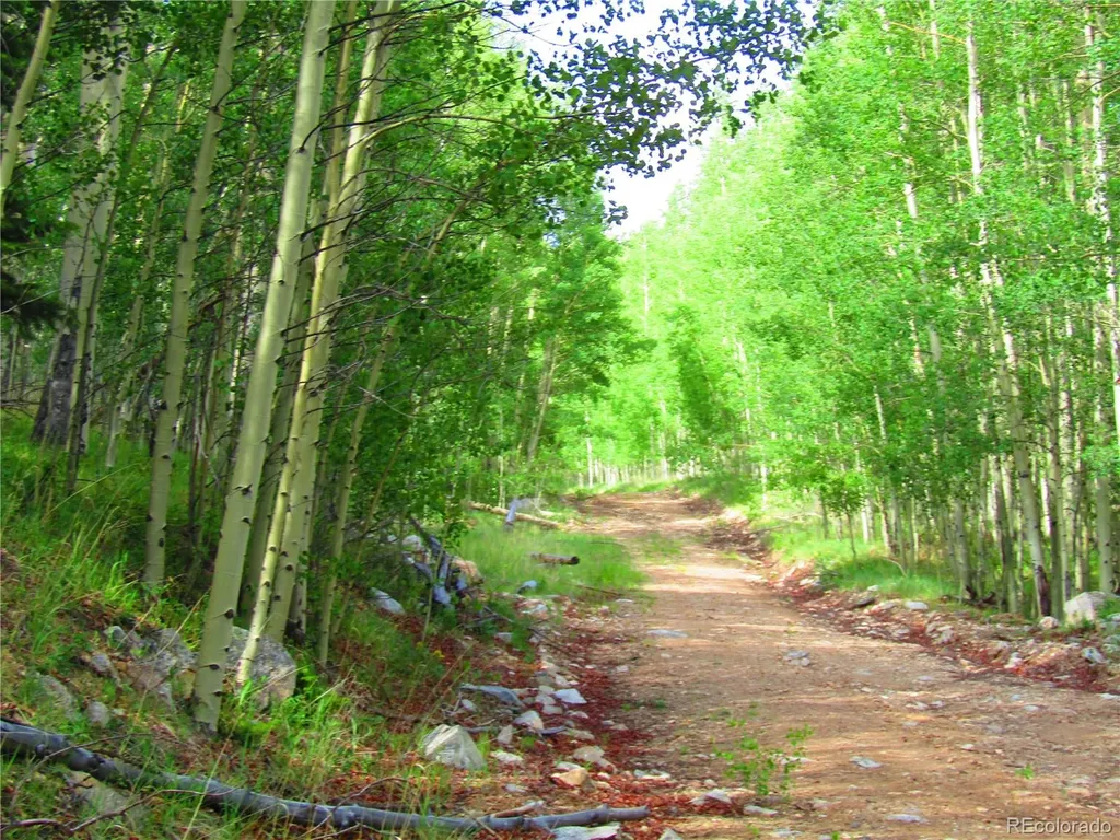 Lot 6427 Laffin Road San Luis CO 81152