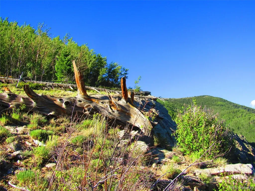 Lot 6427 Laffin Road San Luis CO 81152