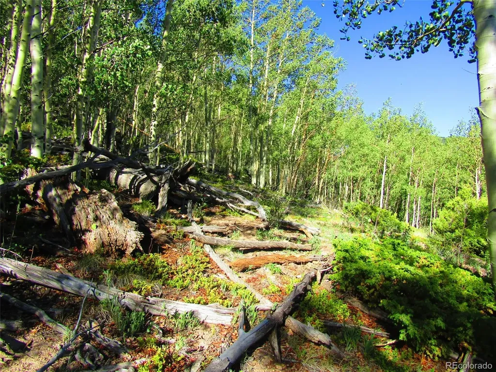 Lot 6427 Laffin Road San Luis CO 81152