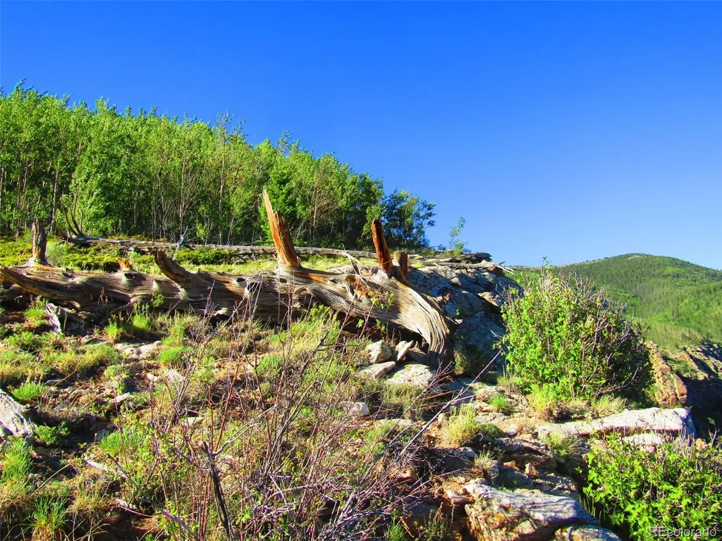 Lot 6427 Laffin Road San Luis CO 81152