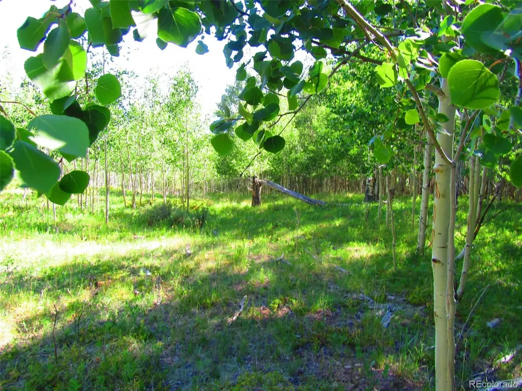 Lot 6427 Laffin Road San Luis CO 81152