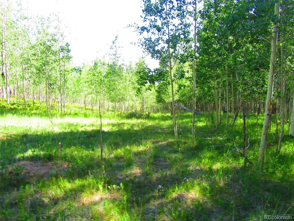 Lot 6427 Laffin Road San Luis CO 81152