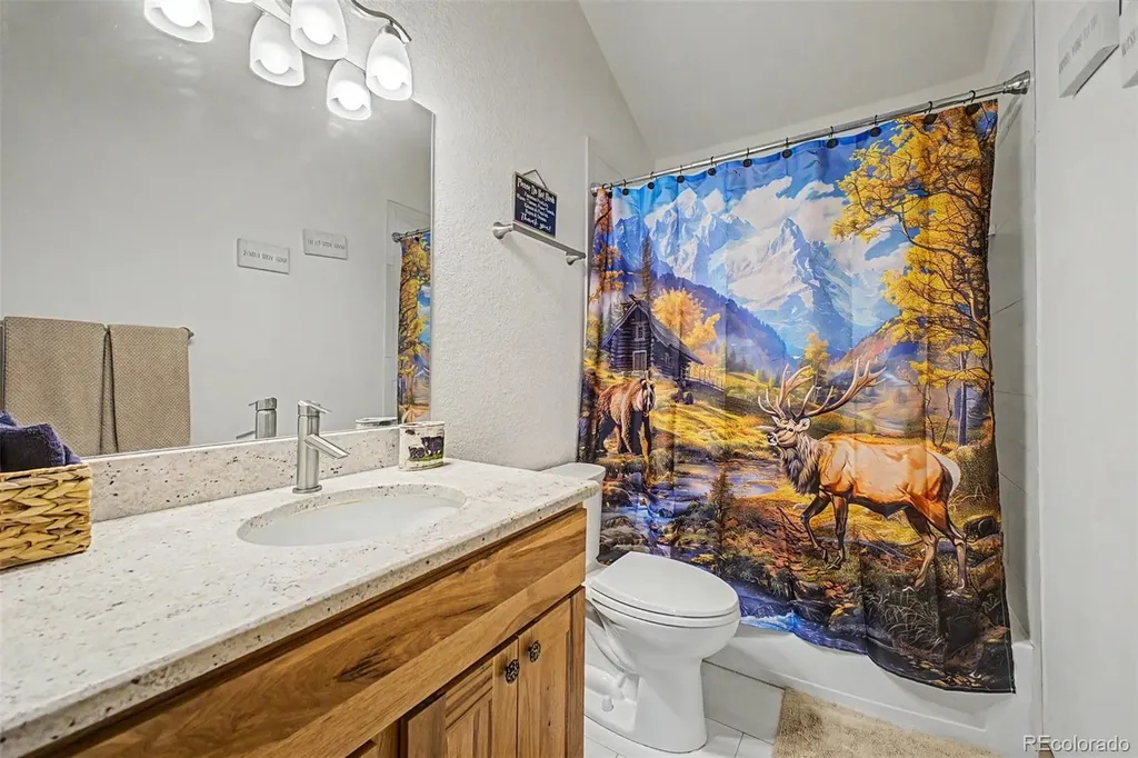 321 E Cline Drive Shawnee CO 80475