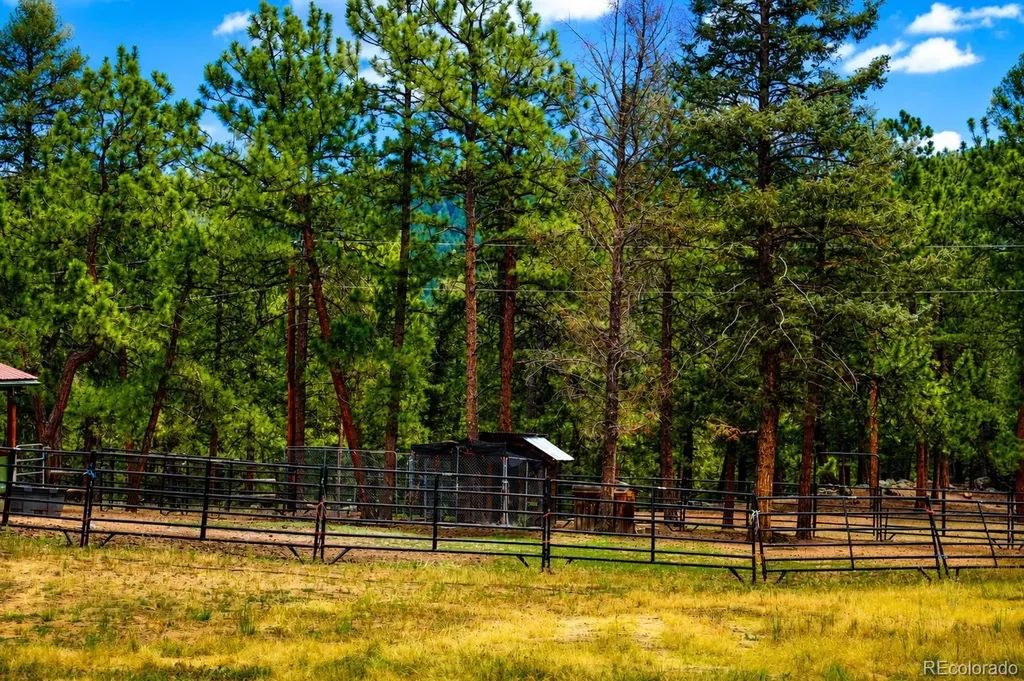 325 Road D Pine CO 80470