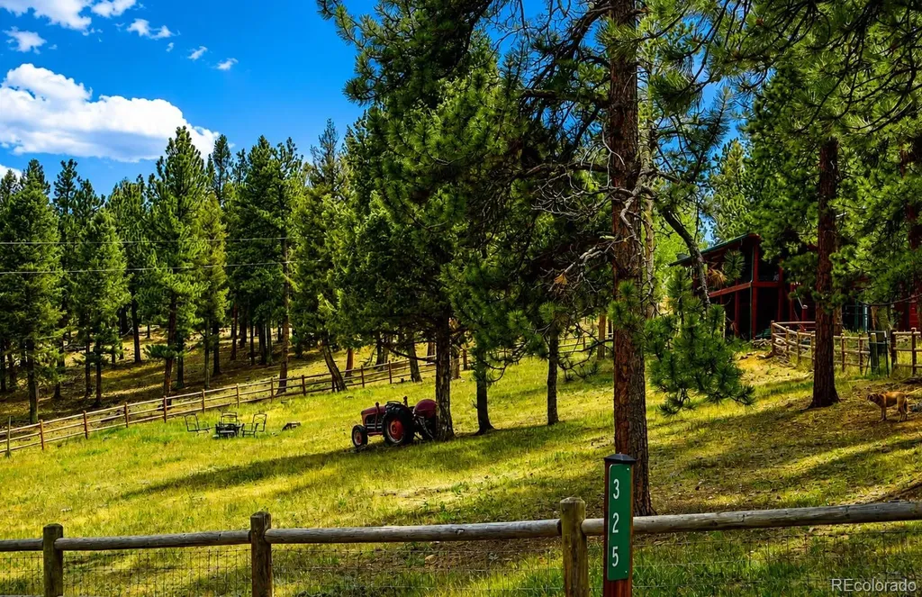 325 Road D Pine CO 80470