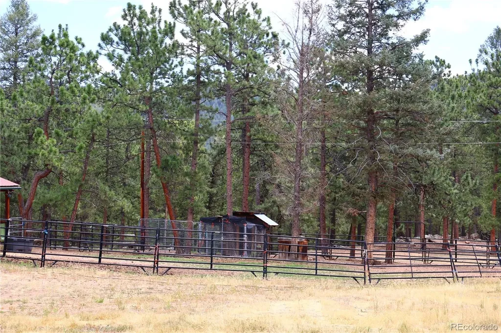 325 Road D Pine CO 80470
