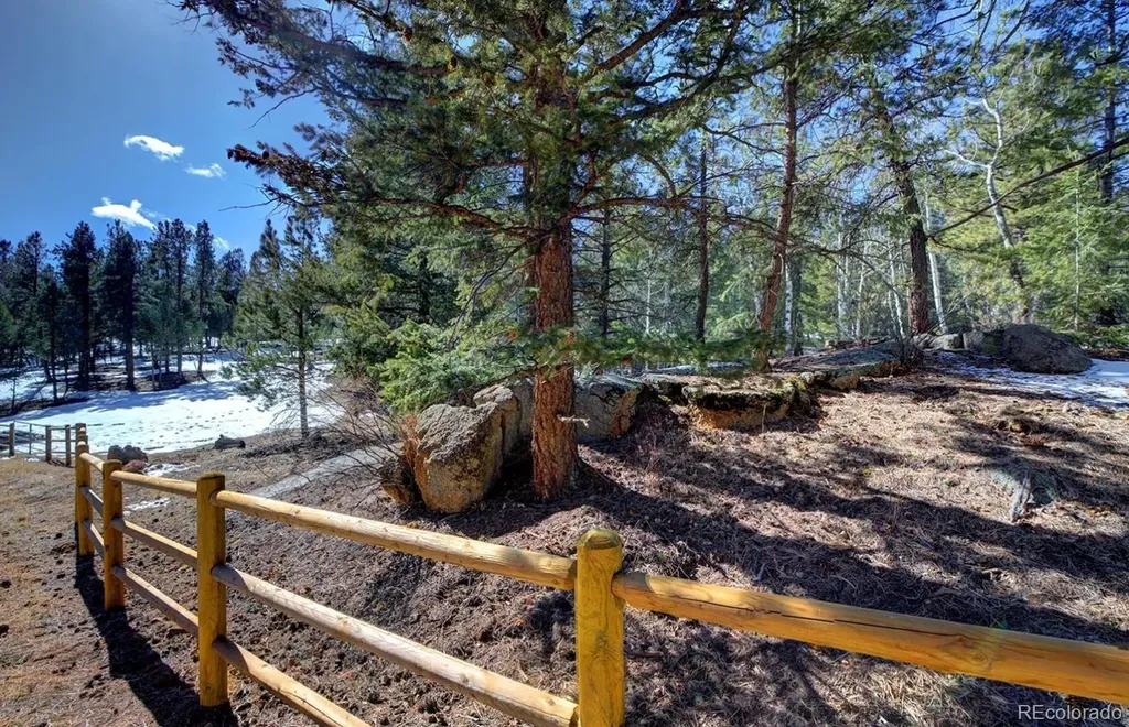 325 Road D Pine CO 80470