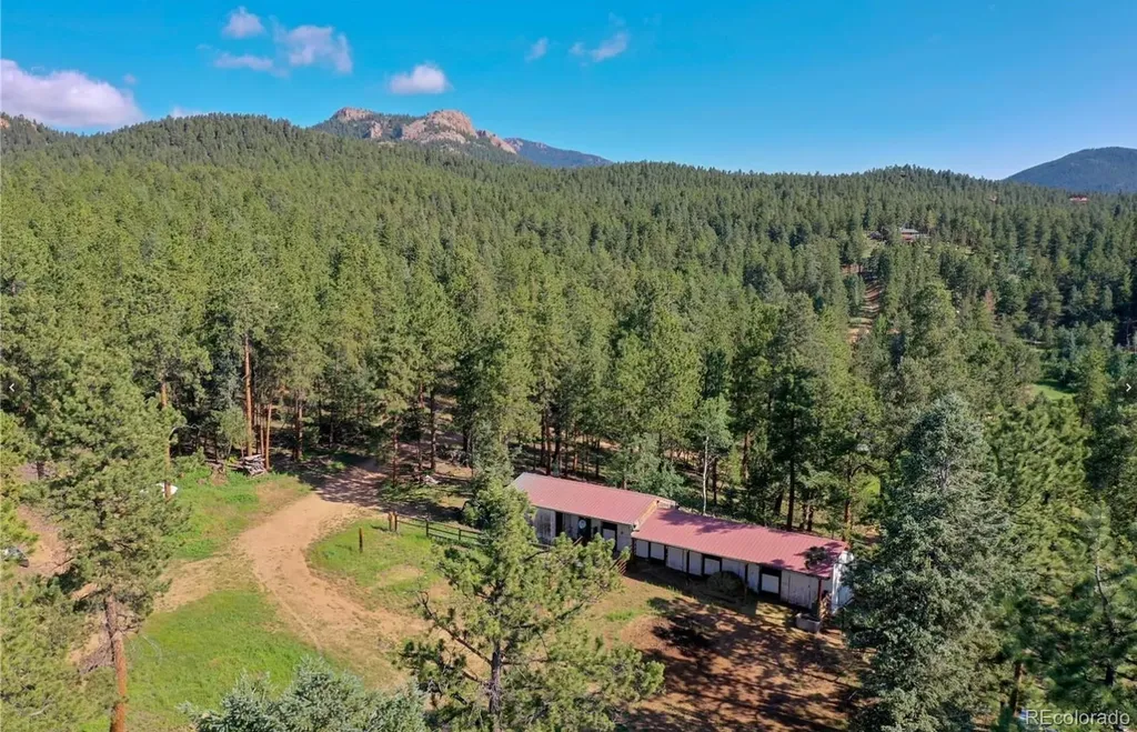 325 Road D Pine CO 80470
